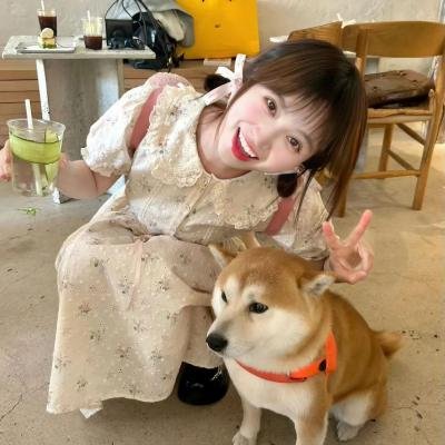 爱,不散